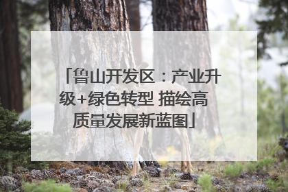 鲁山开发区：产业升级+绿色转型 描绘高质量发展新蓝图