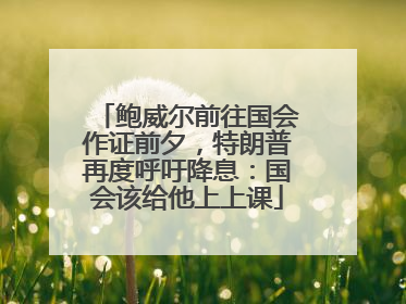 鲍威尔前往国会作证前夕，特朗普再度呼吁降息：国会该给他上上课