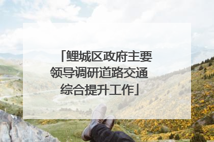鲤城区政府主要领导调研道路交通综合提升工作