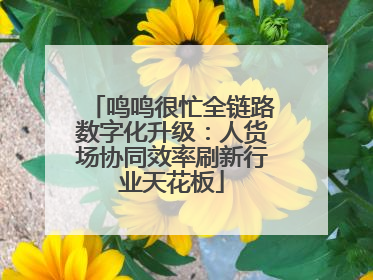 鸣鸣很忙全链路数字化升级：人货场协同效率刷新行业天花板