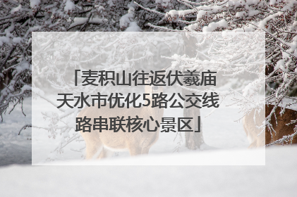 麦积山往返伏羲庙 天水市优化5路公交线路串联核心景区