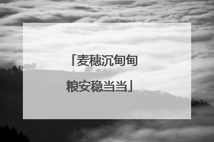 麦穗沉甸甸 粮安稳当当