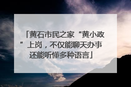 黄石市民之家“黄小政”上岗，不仅能聊天办事还能听懂多种语言