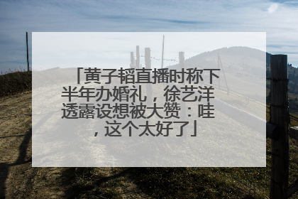 黄子韬直播时称下半年办婚礼，徐艺洋透露设想被大赞：哇，这个太好了