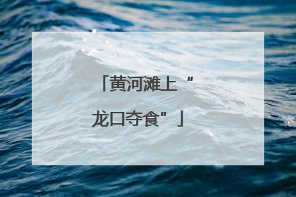 黄河滩上“龙口夺食”