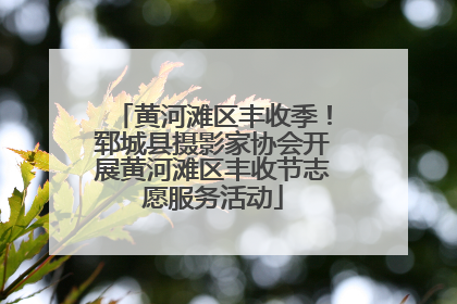 黄河滩区丰收季！郓城县摄影家协会开展黄河滩区丰收节志愿服务活动