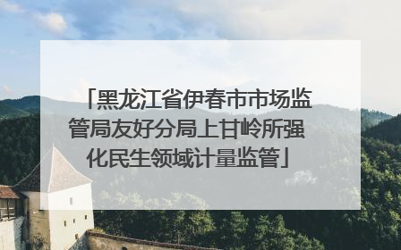 黑龙江省伊春市市场监管局友好分局上甘岭所强化民生领域计量监管