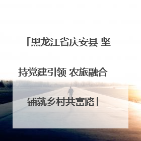 黑龙江省庆安县 坚持党建引领 农旅融合铺就乡村共富路