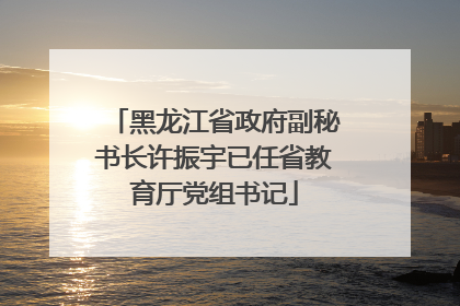 黑龙江省政府副秘书长许振宇已任省教育厅党组书记
