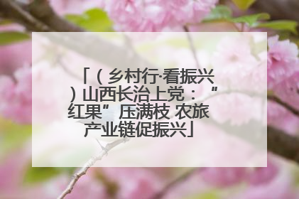 （乡村行·看振兴）山西长治上党：“红果”压满枝 农旅产业链促振兴