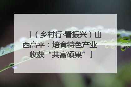 （乡村行·看振兴）山西高平：培育特色产业 收获“共富硕果”