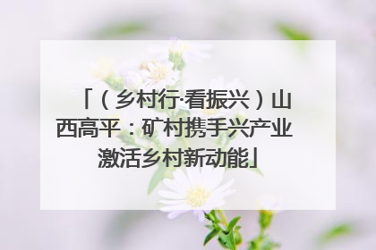 （乡村行·看振兴）山西高平：矿村携手兴产业 激活乡村新动能