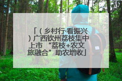（乡村行·看振兴）广西钦州荔枝集中上市 “荔枝+农文旅融合”助农增收