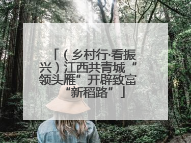（乡村行·看振兴）江西共青城“领头雁”开辟致富“新稻路”