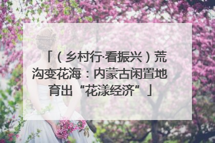 （乡村行·看振兴）荒沟变花海：内蒙古闲置地育出“花漾经济”