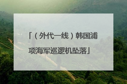 （外代一线）韩国浦项海军巡逻机坠落