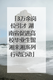 3万余岗位引才 湖南省促进高校毕业生留湘来湘系列行动启动