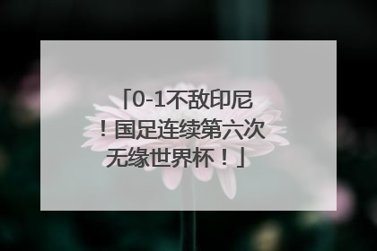 0-1不敌印尼！国足连续第六次无缘世界杯！