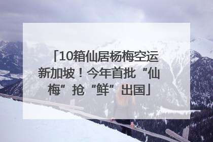 10箱仙居杨梅空运新加坡！今年首批“仙梅”抢“鲜”出国