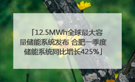 12.5MWh全球最大容量储能系统发布 合肥一季度储能系统同比增长425%
