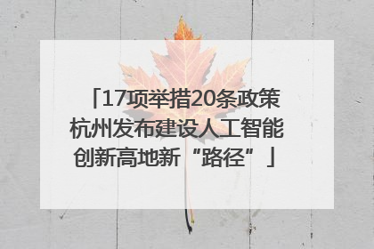17项举措20条政策 杭州发布建设人工智能创新高地新“路径”