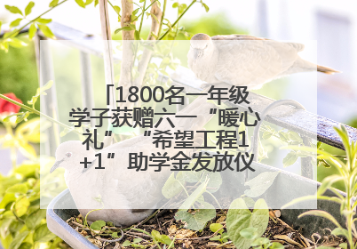 1800名一年级学子获赠六一“暖心礼” “希望工程1+1”助学金发放仪式在川举行