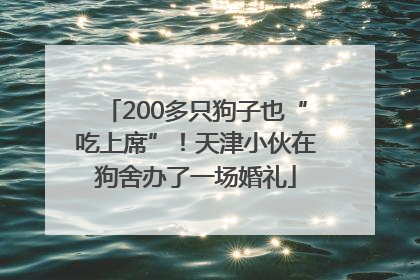 200多只狗子也“吃上席”！天津小伙在狗舍办了一场婚礼