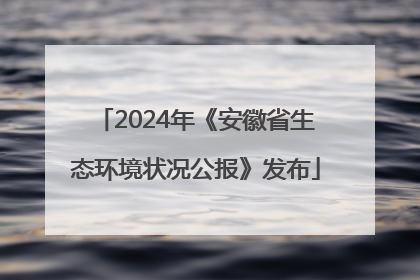 2024年《安徽省生态环境状况公报》发布