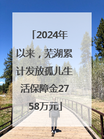 2024年以来，芜湖累计发放孤儿生活保障金2758万元