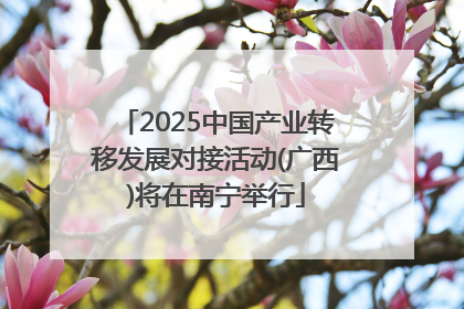 2025中国产业转移发展对接活动(广西)将在南宁举行