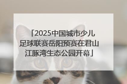 2025中国城市少儿足球联赛岳阳预赛在君山江豚湾生态公园开幕
