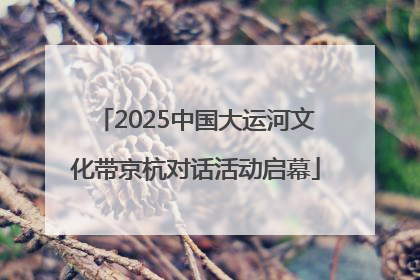 2025中国大运河文化带京杭对话活动启幕