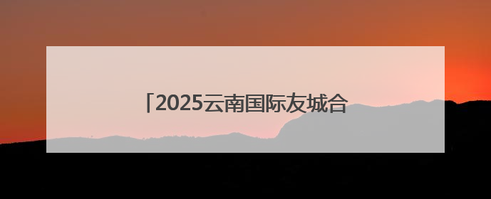 2025云南国际友城合作周主题活动在昆明举行