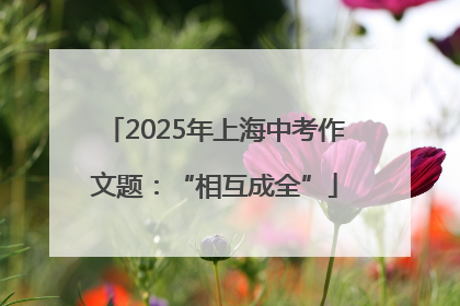 2025年上海中考作文题：“相互成全”