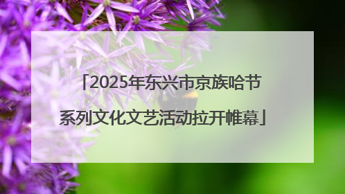 2025年东兴市京族哈节系列文化文艺活动拉开帷幕