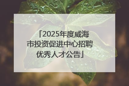 2025年度威海市投资促进中心招聘优秀人才公告