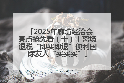 2025年廊坊经洽会亮点抢先看（十）丨离境退税“即买即退”便利国际友人“买买买”