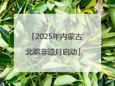 2025年内蒙古北疆非遗月启动