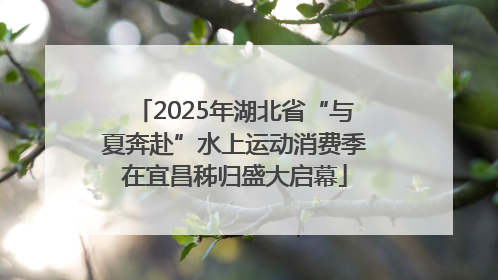 2025年湖北省“与夏奔赴”水上运动消费季在宜昌秭归盛大启幕