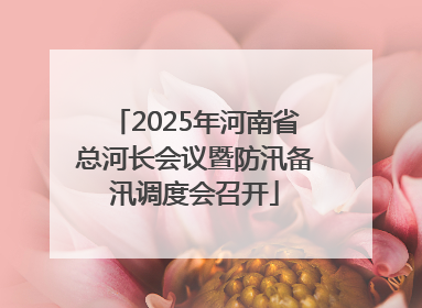 2025年河南省总河长会议暨防汛备汛调度会召开