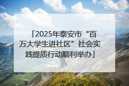2025年泰安市“百万大学生进社区”社会实践提质行动顺利举办