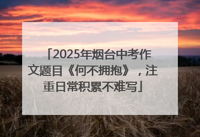 2025年烟台中考作文题目《何不拥抱》，注重日常积累不难写