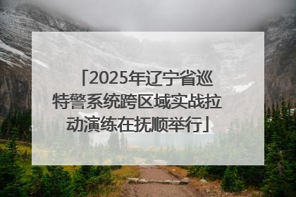 2025年辽宁省巡特警系统跨区域实战拉动演练在抚顺举行