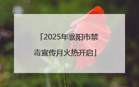 2025年襄阳市禁毒宣传月火热开启