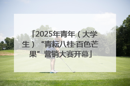 2025年青年（大学生）“青耘八桂·百色芒果”营销大赛开幕