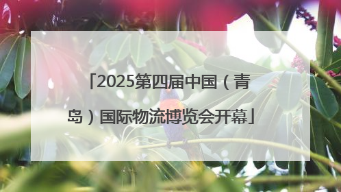 2025第四届中国（青岛）国际物流博览会开幕