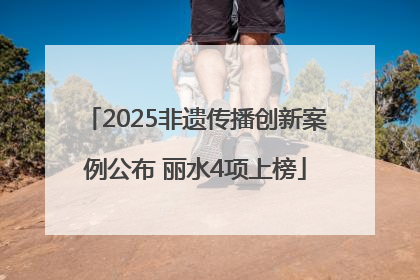 2025非遗传播创新案例公布 丽水4项上榜