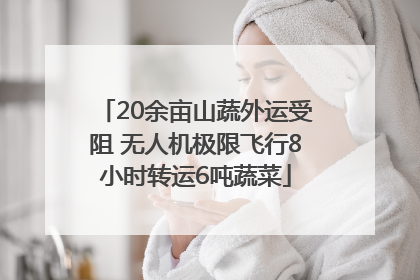 20余亩山蔬外运受阻 无人机极限飞行8小时转运6吨蔬菜