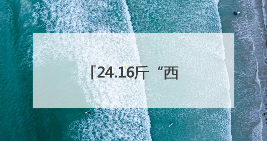 24.16斤“西瓜王”拍出10200元高价！活动方称将注入助学基金