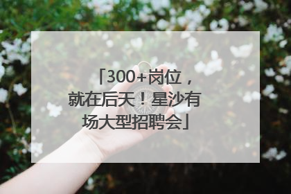 300+岗位，就在后天！星沙有场大型招聘会